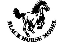 Black Horse Logo